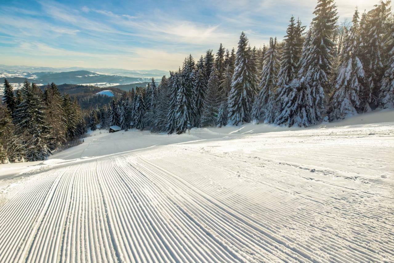 Horsky Hotel Kozubova Dolní Lomná Exteriör bild